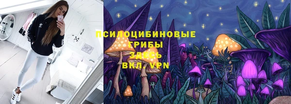 PSILOCYBIN Бородино